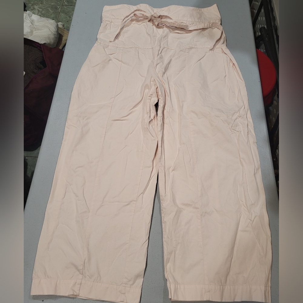 Banana Republic Light Pink Wide Leg Pants